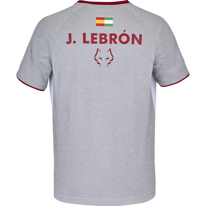 Babolat T-shirt met ronde hals Juan Lebron Men Wit Grijs 2024